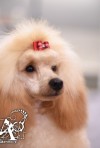 id53072