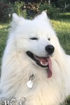 id53722