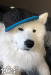 id53814