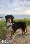 id54719